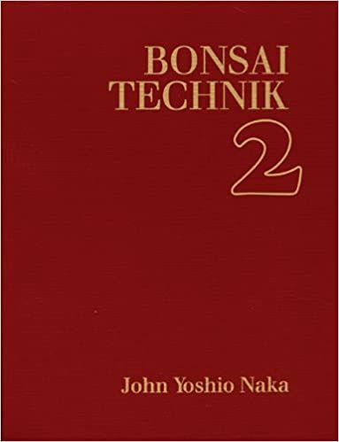 „Lichtwechsel“  von Miki Sakamoto